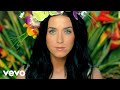 Roar, video y letra